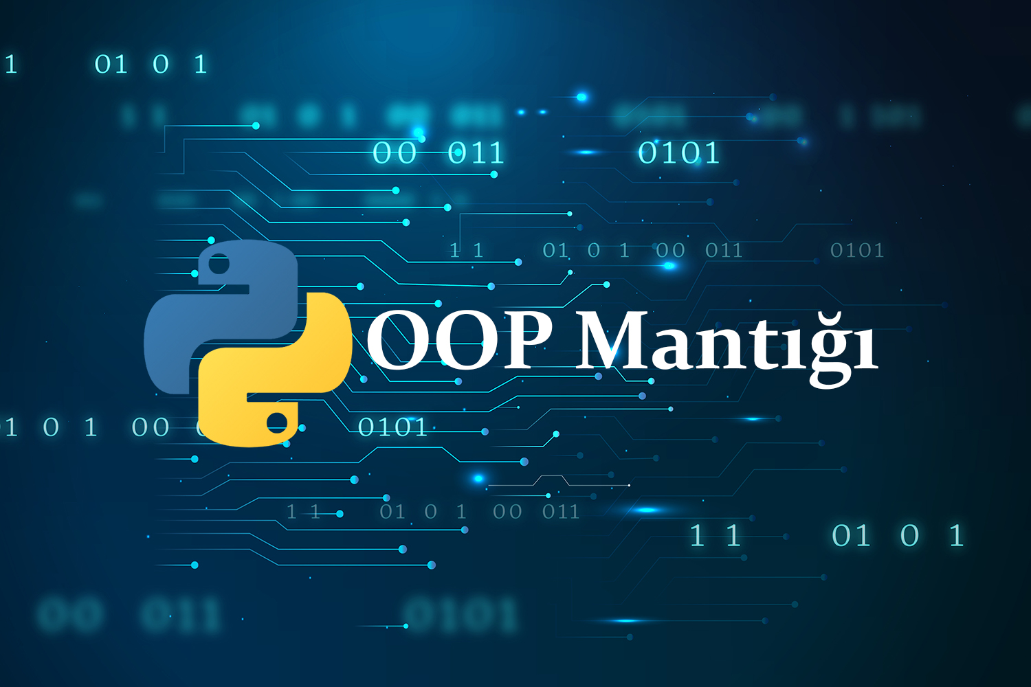 Python Nesne Yönelimli Programlama