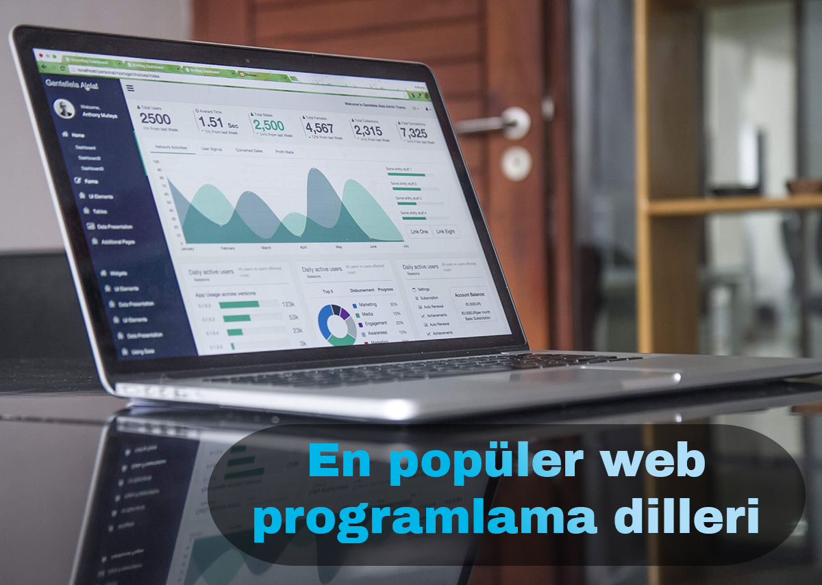 Web Geliştirme için En Popüler Programlama Dilleri